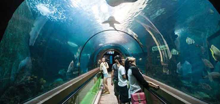 Phuket Aquarium