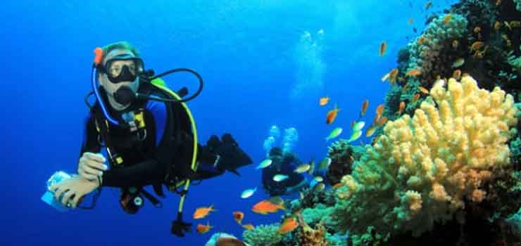 Scuba Diving phuket