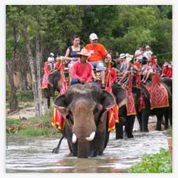 Hua Hin Safari