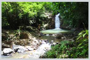 KhaoPhanomBencha National Park